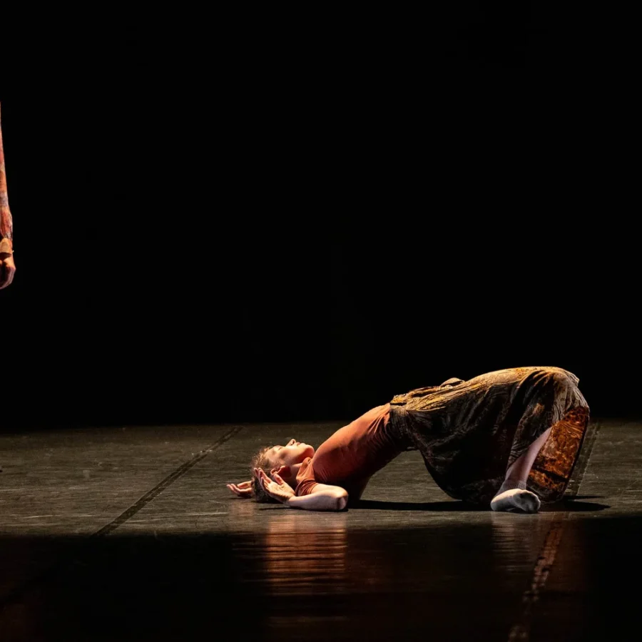 ballet-gautier-de-charnace-Castel-Artes-2024-Rencontre-MF-3